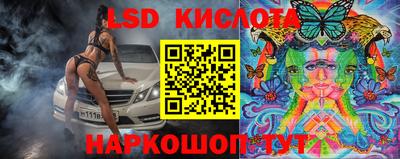 крисы Краснодар