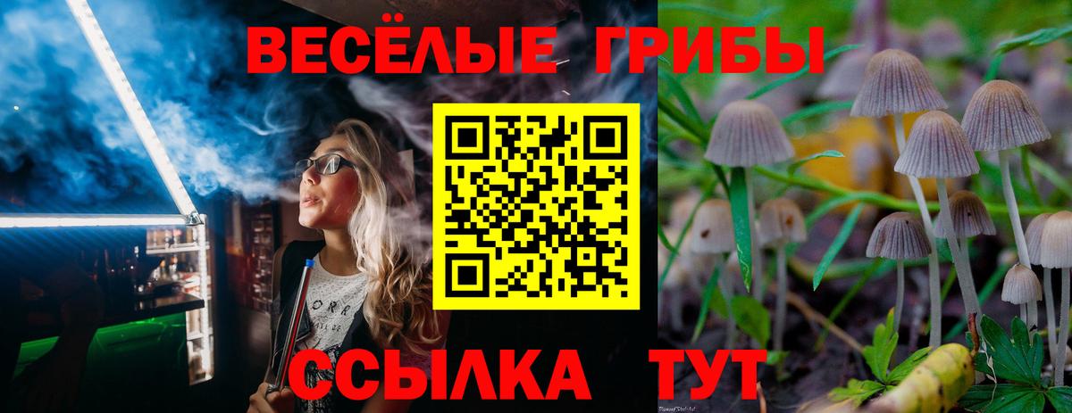 Галлюциногенные грибы прущие грибы  Вход с VPN  Карталы 